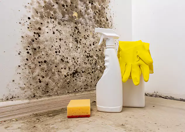 Your Reliable Restoration Company in Osawatomie, KS