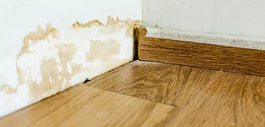 Professional Fix Water Damaged Wood Services in Osawatomie, KS