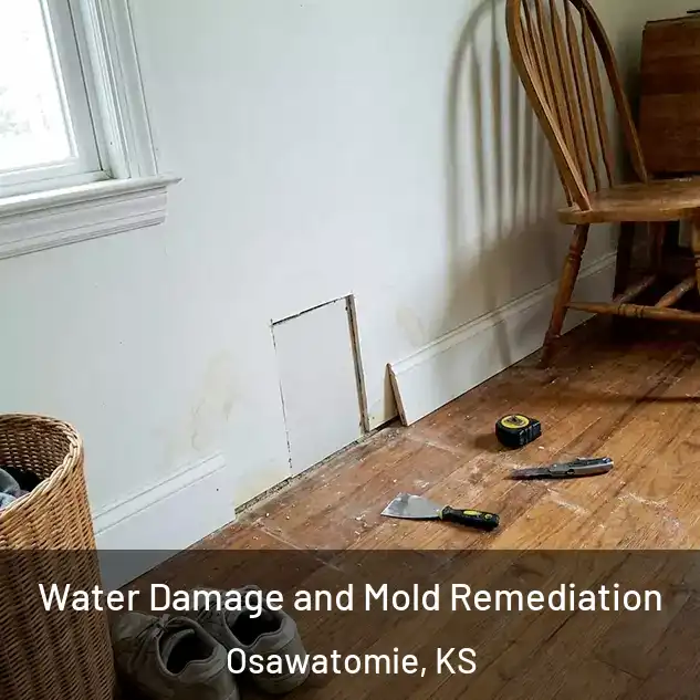  Water Damage and Mold Remediation Osawatomie, KS